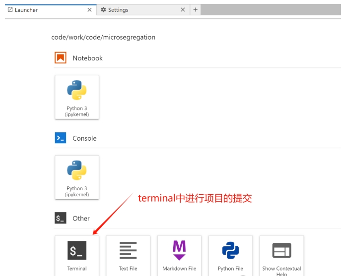 1709976890882861.png terminal中进行项目的提交.png