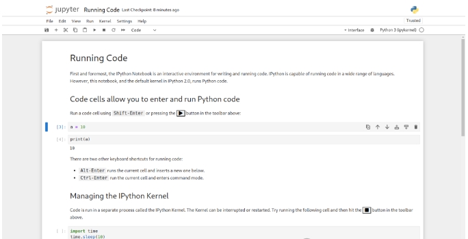 1735479541118918.png Jupyter Notebook使用界面.png